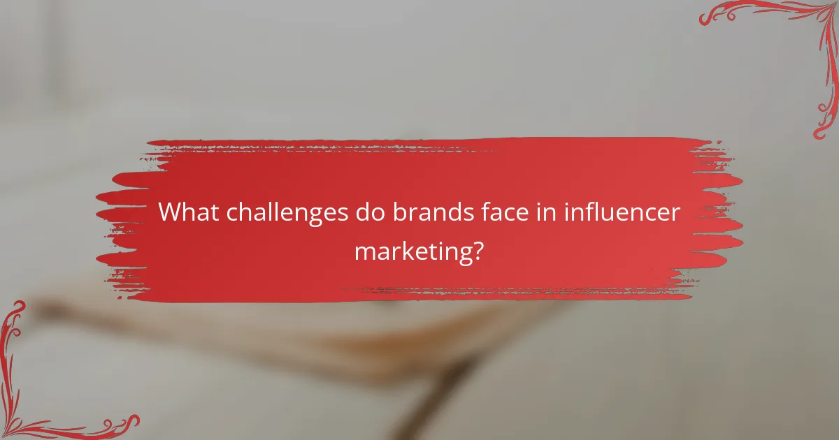 What challenges do brands face in influencer marketing?